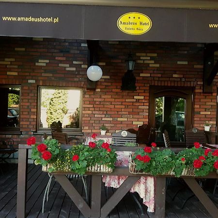 Amadeus Hotel Zielona Gora Exterior photo
